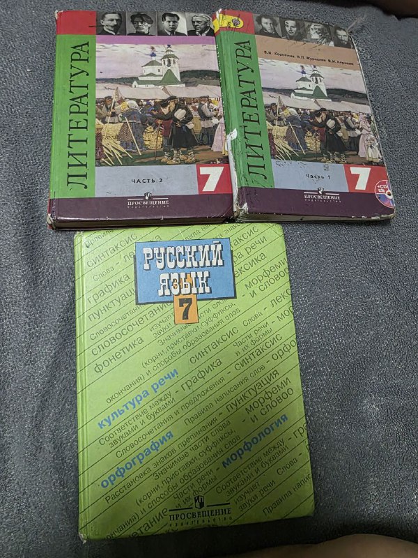 Учебники для 7 класса: русский язык, литература 2 тома