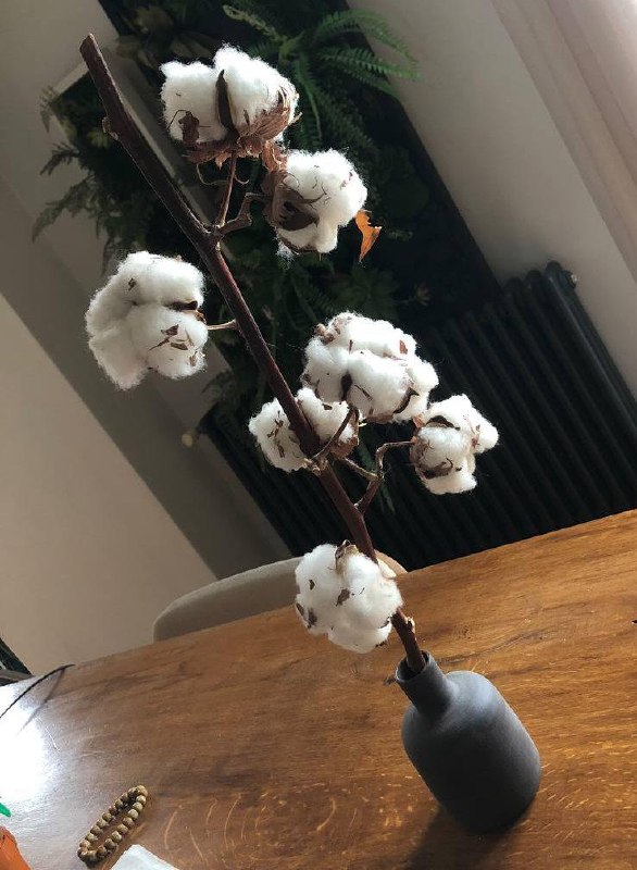 керамическая ваза из чёрного шамота ручной работы маленькая и высокая 4