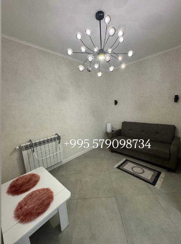 3х комнатная квартира с 2 спальнями в аренду 4