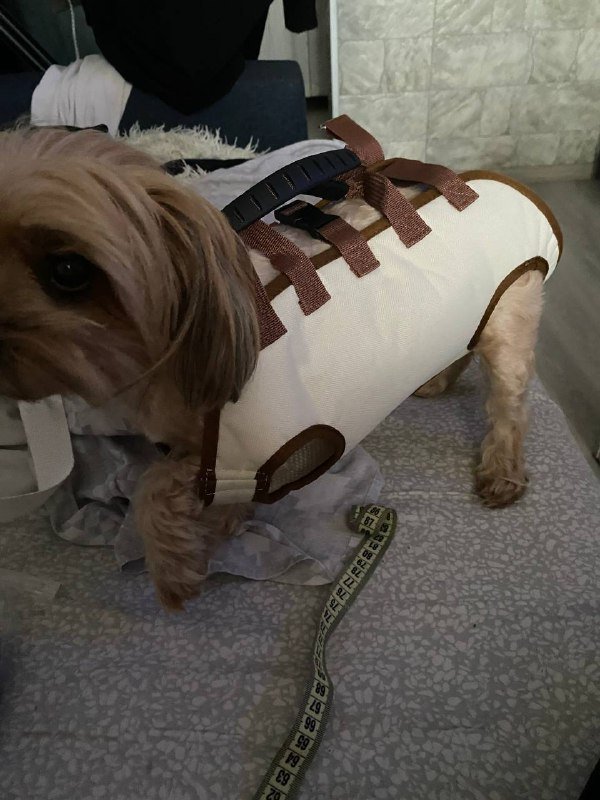 Сумка переноска для собачки 6