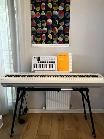 Электропианино Roland FP-30X