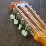 Мандолина, Черноморский Кеменче 6