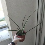 Ночной велосвет на ногу 3