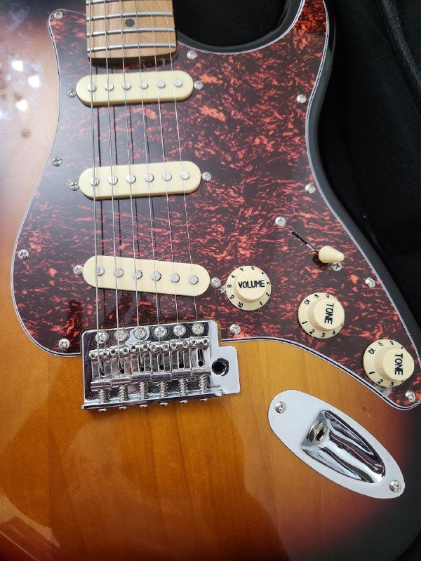 Электрогитара ZET с утеплённым чехлом