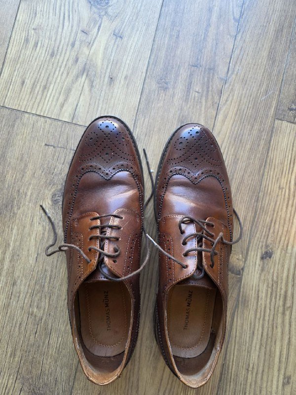 Броги Thomas Munz, размер 43