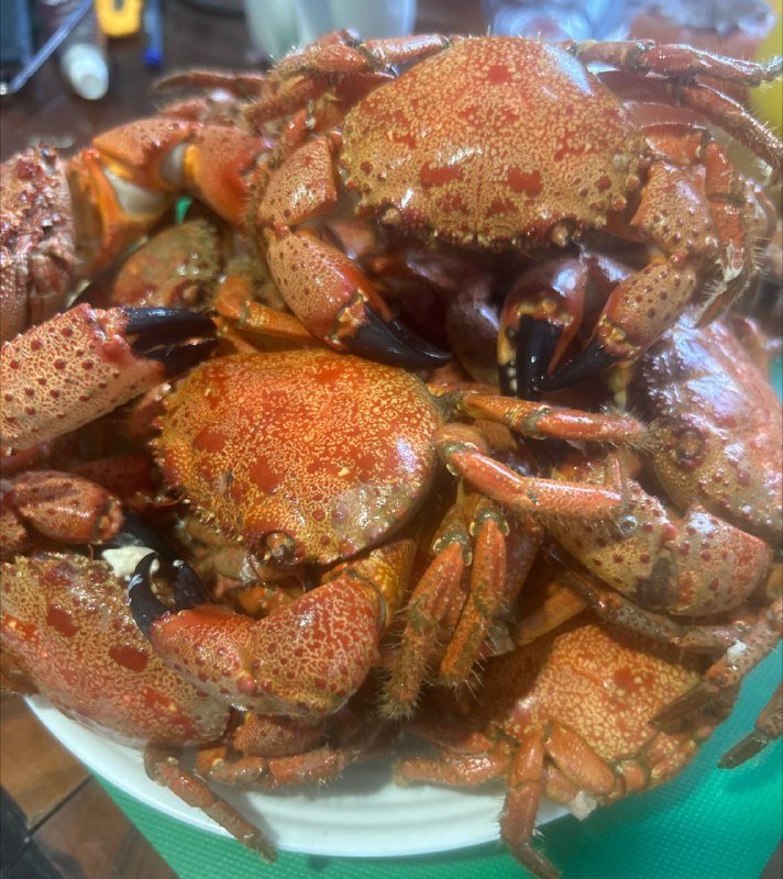 Крабы около 1,5 кг