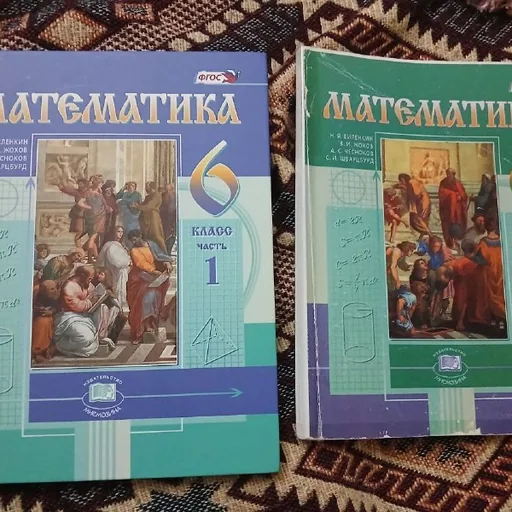 Математика 6 класс, часть 1 и 2