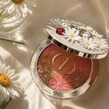 Бронзер Dior 1