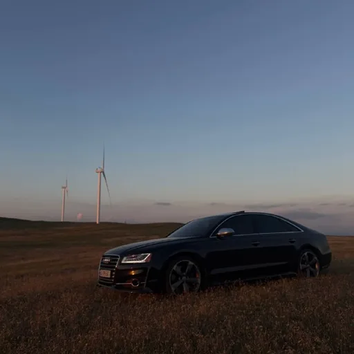Audi S8 2015