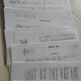 Ноты, ракушки, ремень 2