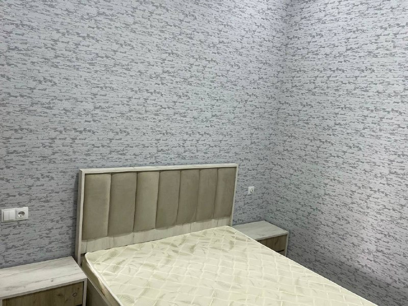 3-room apartment for rent near Akhmeteli Theater 5