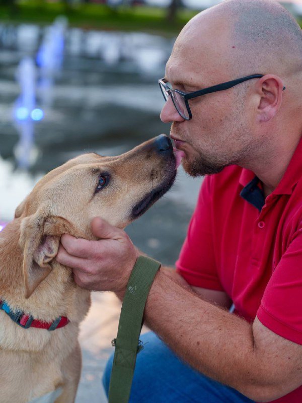 Собака Кали ищет дом 10