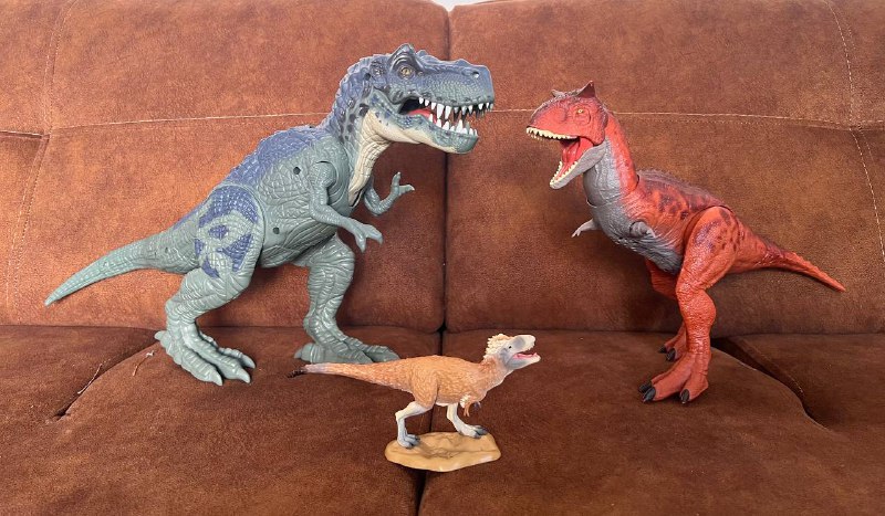 Пальто, парные кружки, велосипед, дискошар, осушитель воздуха, массажный стол, однодневные линзы, крупные динозавры 8