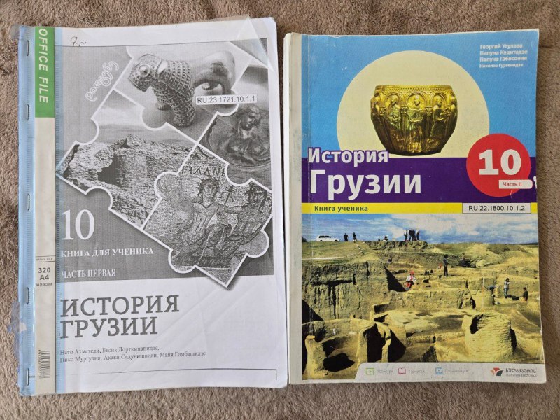 Учебники за десятый класс английский, география, химия, история, грузинский, немецкий 4