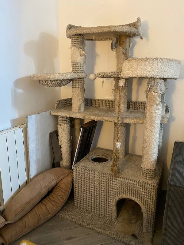 Кошачий комплекс 150х50, требуется переобивка