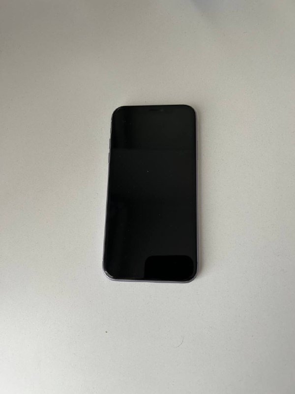 iPhone 11 256GB