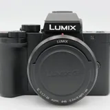 Panasonic Lumix DC-G100 с объективом 25mm f/1.7 8