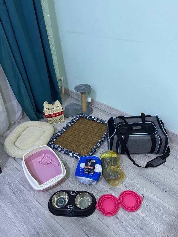 Набор товаров для кошки