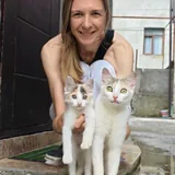 Кошка и котенок 1