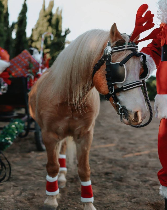 Фотосессии портреты, дети, семья, lifestyle, beauty, бизнес контент 5