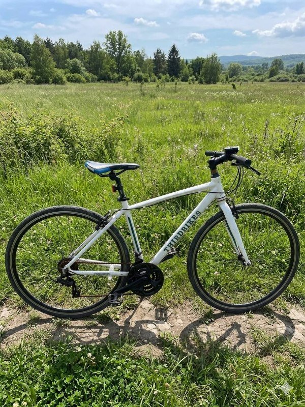 Японский гибрид THIRDBIKES Fescross