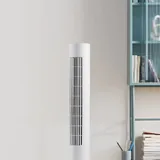 Bang & Olufsen Beosound A1 wireless speaker, UFESA DH5020 dehumidifier, JYSK garden chairs, Xiaomi Smart Tower Fan 2 9