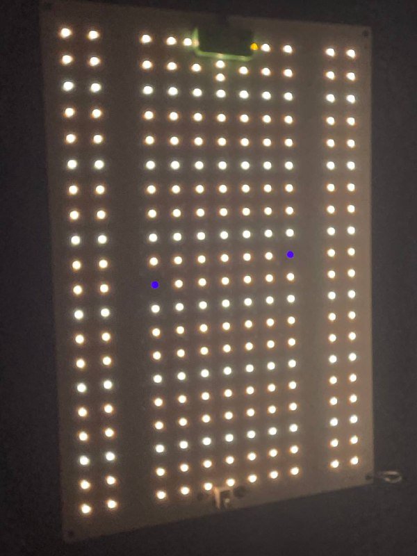 LED лампа для растений 100w, два горшка 11л 4