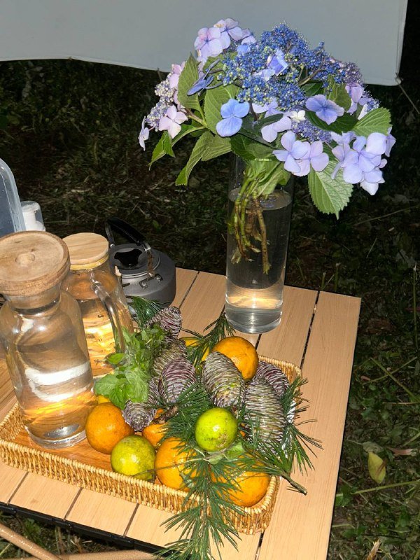 Раскладной походный стол бежевый с рисунком дерева 3