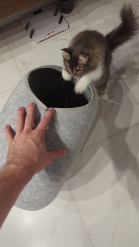 Домик-бублик для кошки 2