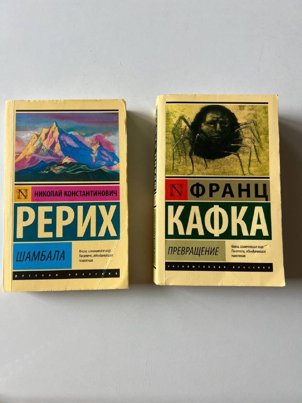 книги Рерих, Кафка, Купи себе чертовы лилии, Хрупкие люди, Мозг может все, 12 soft skills 2