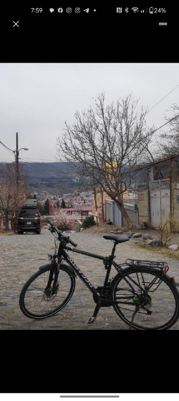 Pegasus bicycle
