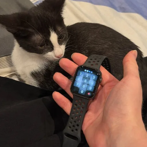 Apple Watch Nike SE 44 мм