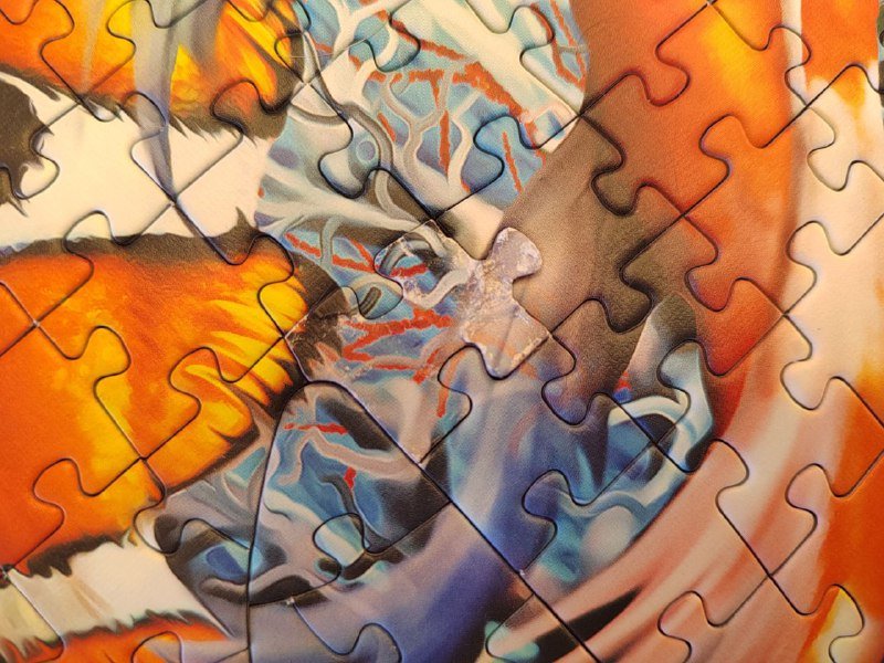 Пазл с рыбками, одна деталька повреждена собакой 3