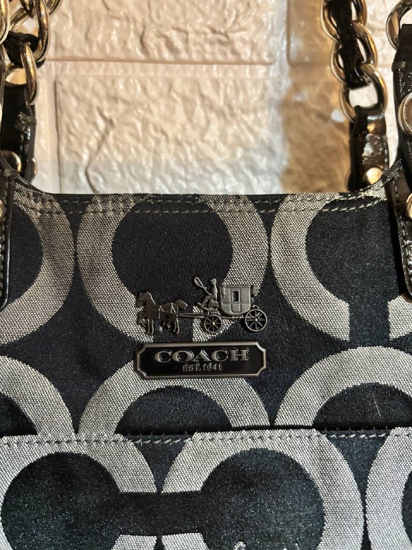 Coach Madison Canvas Hobo Bag, Coach Madison Tribeca Bag, Dolce & Gabbana Bag, Guess Bag 7