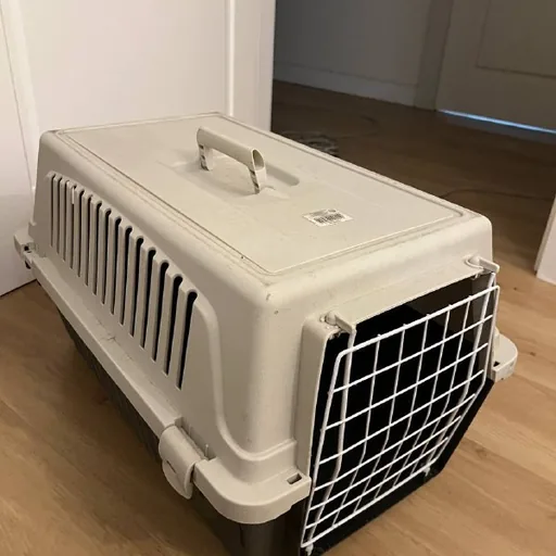 Carrier for cats and dogs