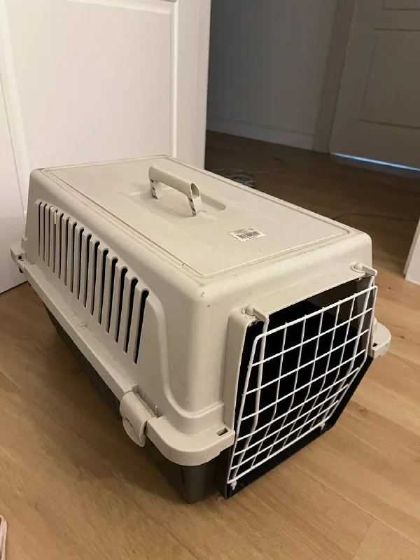 Carrier for cats and dogs 1