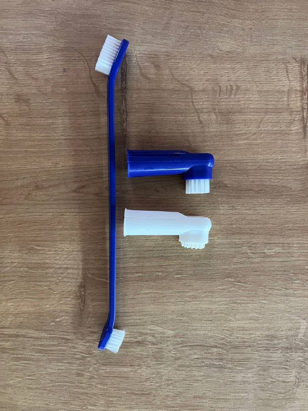 Ковёр, подставка для благовоний, игрушка для кота, расчёска и насадки для чистки зубов 5