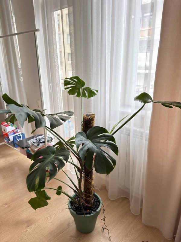 Журнальный столик икеа 6