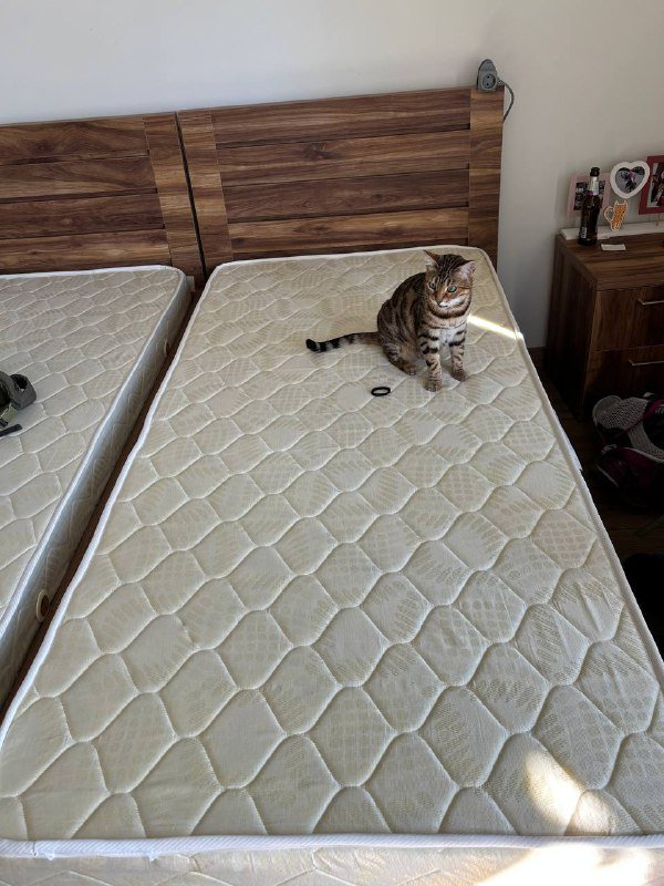 Ортопедический матрас безпружинный латекс 90x200