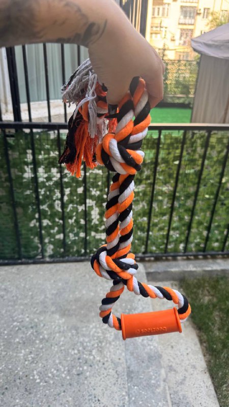 Вещи для собаки 4-5 кг, пакет 10