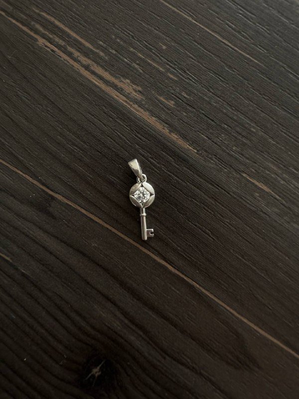 Браслет Pandora, цепочка на сумку, серебряный подвес, кольца H&M, расчески, пазлы Париж 3