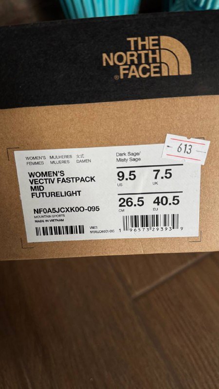 Женские треккинговые ботинки The North Face Vectiv Fastpack Mid Futurelight 5
