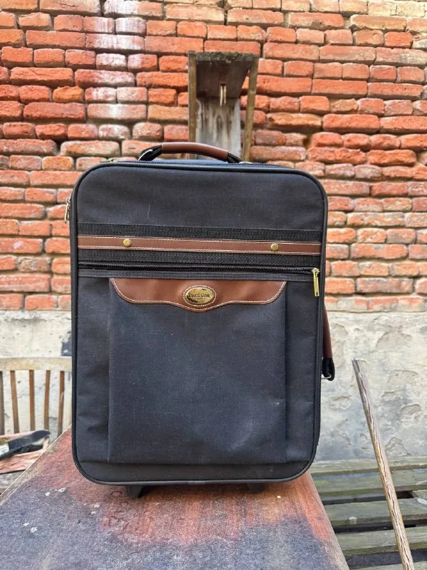 Винтажный чемодан Skyway Luggage 1