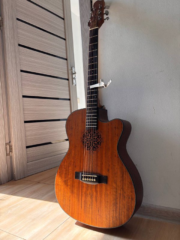 Акустическая гитара Singer 2
