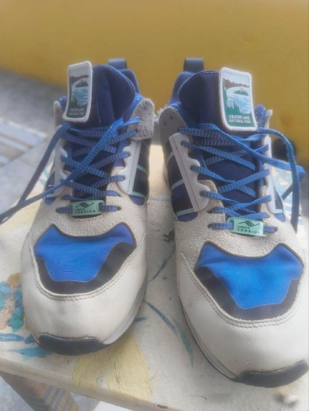 Adidas X National Parks Zx 10000 кроссовки 2
