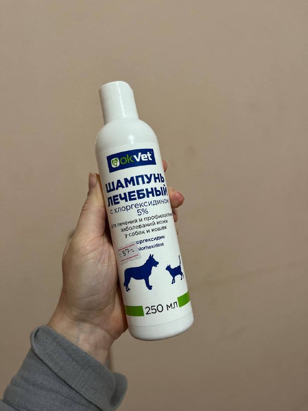 шампунь для собак и кошек, коврик силиконовый, ножницы для когтей, маленький Kong, жевательные палочки