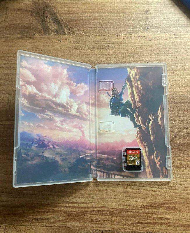 The legend of Zelda: Breath of the Wild 2