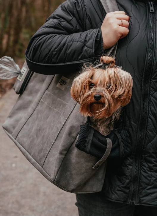 Сумка-переноска для животных до 10 кг