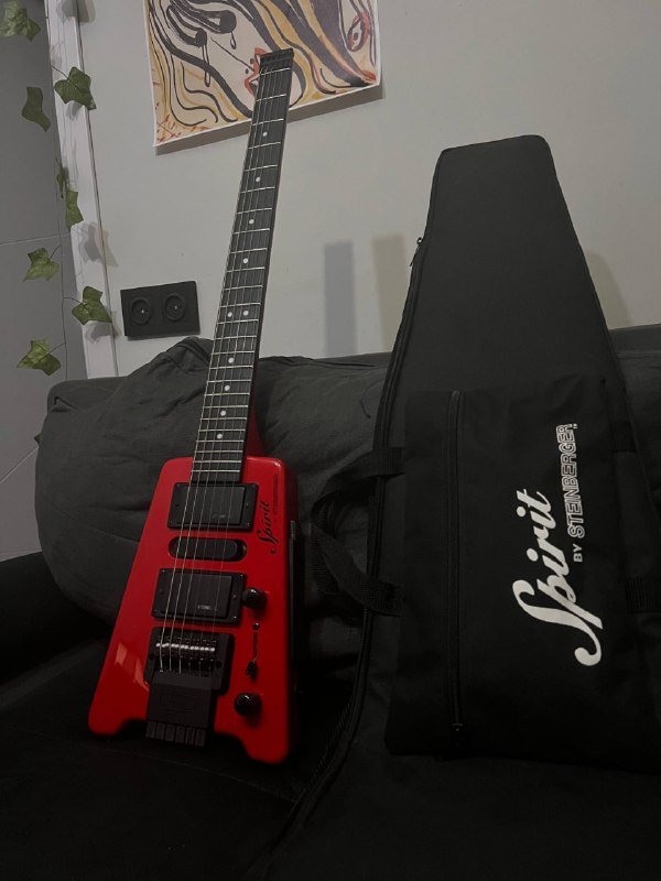 Гитара Steinberger, электрогитара Harley Benton, комбоусилитель Harley Benton 1