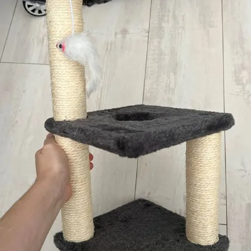 Когтеточка для котенка